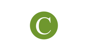 Cylex review